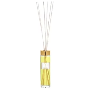 ENDLESS FIESTA DIFFUSER