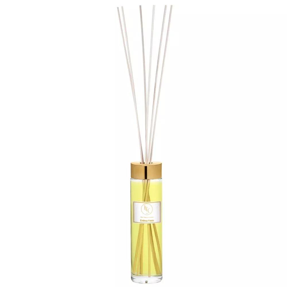 ENDLESS FIESTA DIFFUSER - Image 1