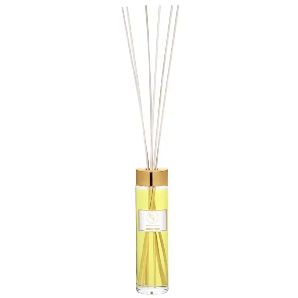 ENDLESS FIESTA Diffuser